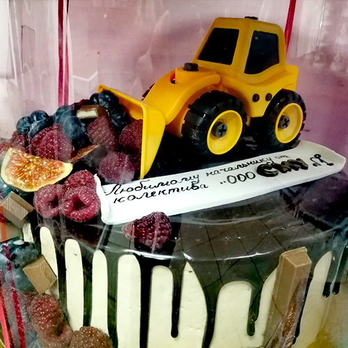 Корпоративный торт на заказ #0291